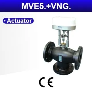 MVE5.+VNG.